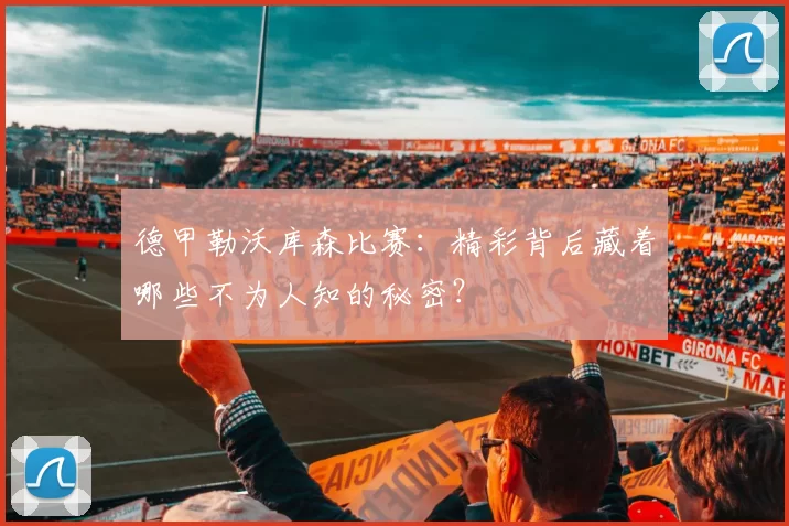 德甲勒沃库森比赛：精彩背后藏着哪些不为人知的秘密？