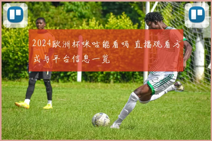 2024欧洲杯咪咕能看吗 直播观看方式与平台信息一览