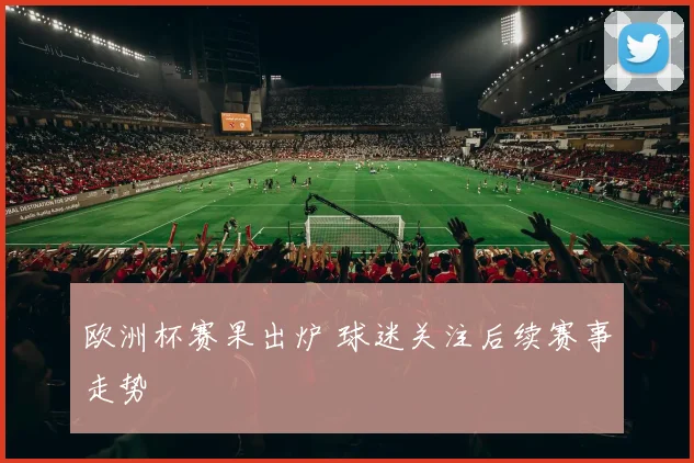 欧洲杯赛果出炉 球迷关注后续赛事走势