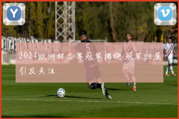 2024欧洲杯各界冠军揭晓 冠军归属引发关注